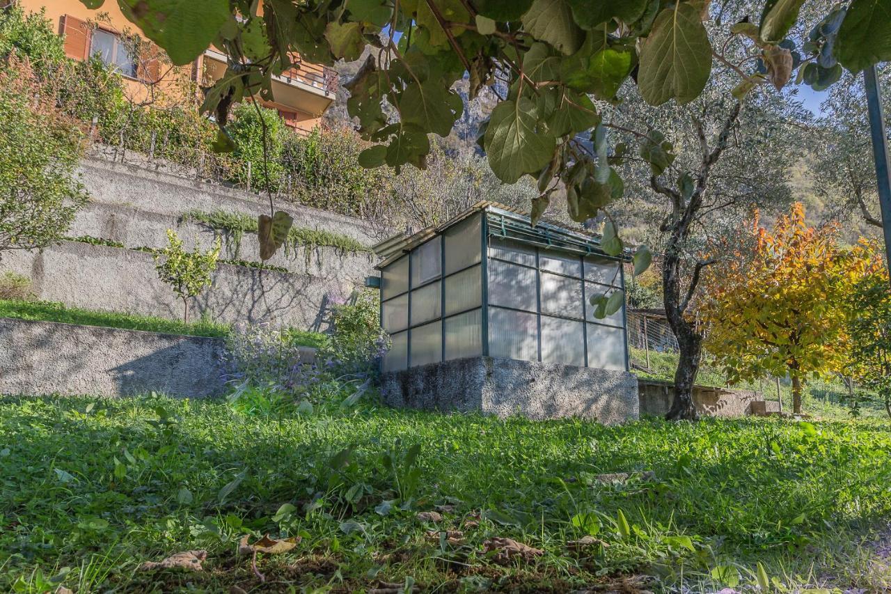 La Maison Du Lac 瓦伦纳 外观 照片